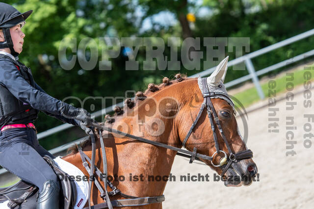 Test of Choise Langenfeld (29.+30.05.2021)
