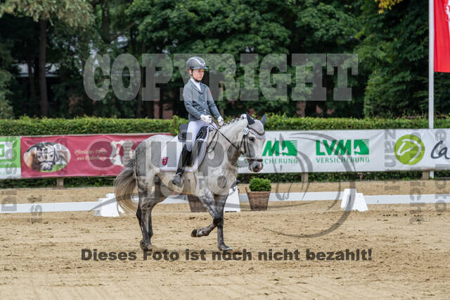 Goldene Schärpe 2021 - Ponys