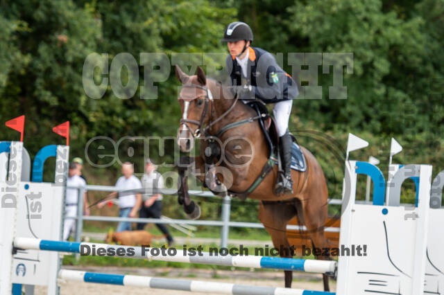 Late-Entry-Vielseitigkeit Langenfeld (06.+07.07.2020)