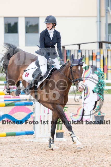 DJM Vielseitigkeit 2019, Kreuth