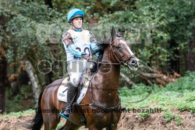 Vielseitigkeit RSV Wesel Obrighoven (26.+27.09.2020)