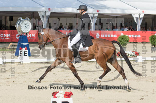 FEI European Championship Eventing 2017