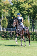 Kronenberg - De Peelbergen (August 2020)