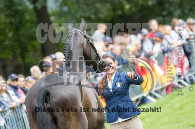 FEI European Championship