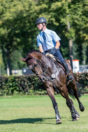 Kronenberg - De Peelbergen (August 2020)