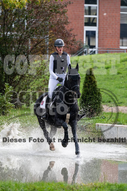 Goldene Schärpe 2020 - Pferde