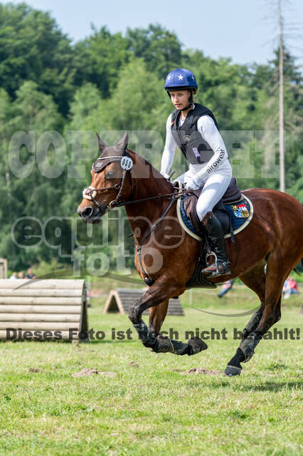 Goldene Schärpe 2021 - Ponys