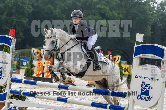 Goldene Schärpe 2021 - Ponys