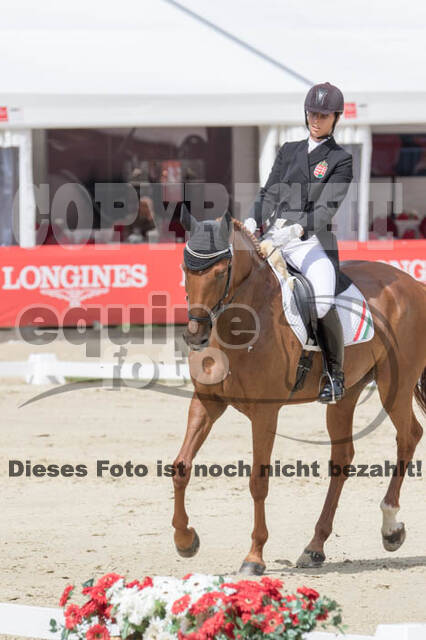 FEI European Championship Eventing 2017