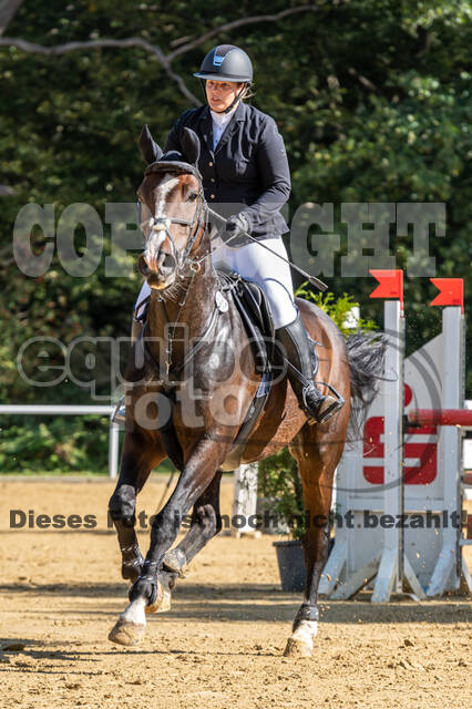 RFV Dinslaken-Hiesfeld (Herbstturnier)