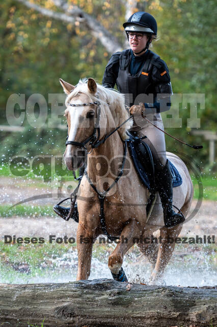 IGV Lehrgang der Sieger der Cups mit Frank Ostholt