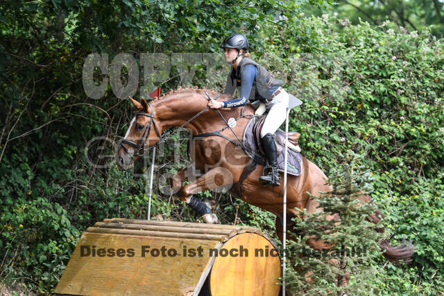 Late-Entry-Vielseitigkeit Langenfeld (11.+13./14.06.2020)