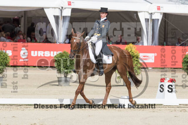 FEI European Championship Eventing 2017