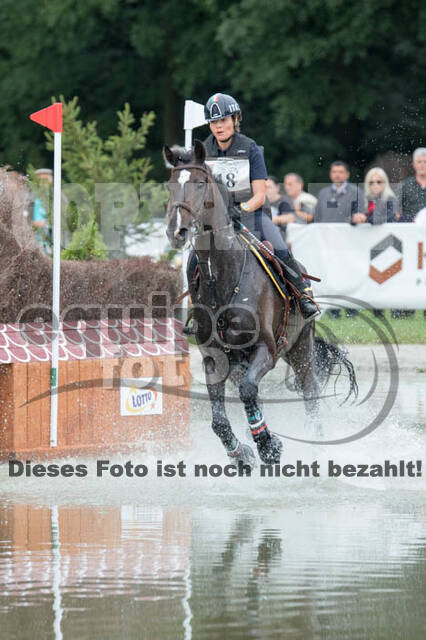 FEI European Championship