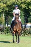 Kronenberg - De Peelbergen (August 2020)