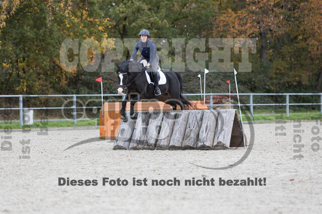 IGV Lehrgang der Sieger der Cups mit Frank Ostholt