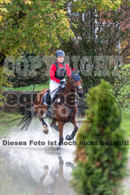 Goldene Schärpe 2020 - Pferde