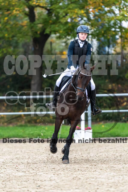 Reiter Schleswig-Holstein