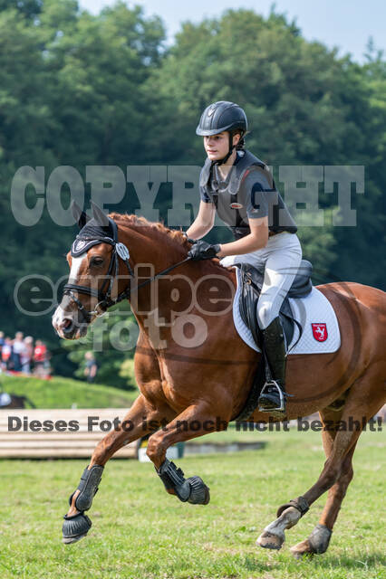 Goldene Schärpe 2021 - Ponys