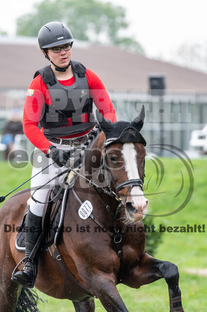 Goldene Schärpe 2020 - Pferde