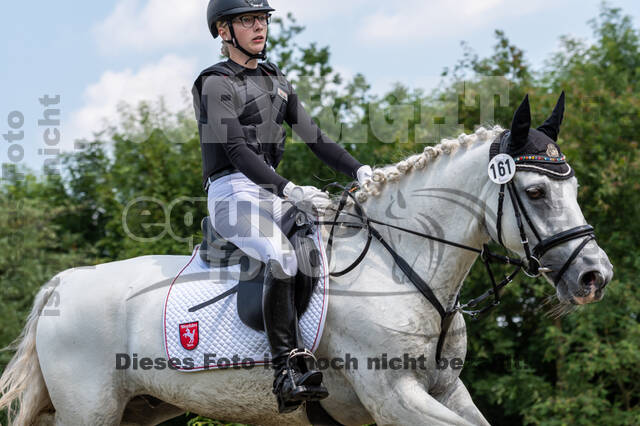 Goldene Schärpe 2021 - Ponys