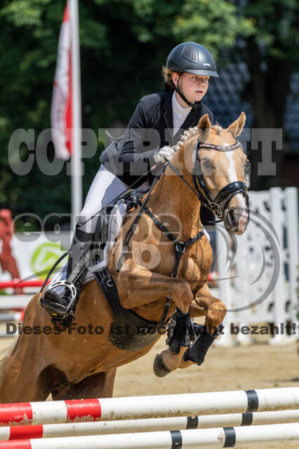 Goldene Schärpe 2021 - Ponys