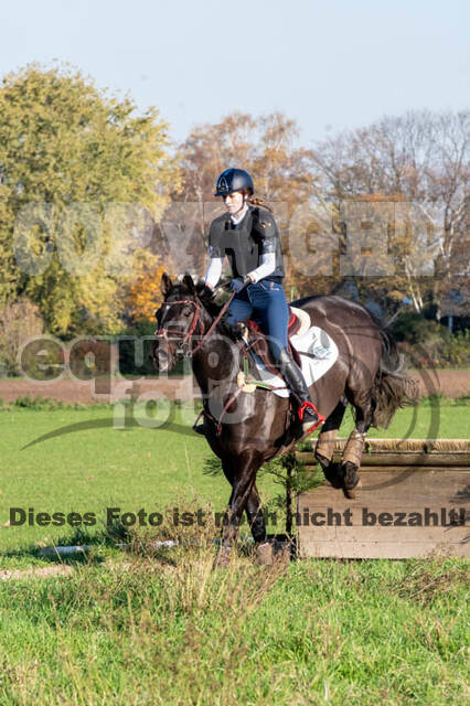 Vielseitigkeitslehrgang mit Jürg Kurbel (9.+10.11.2019)