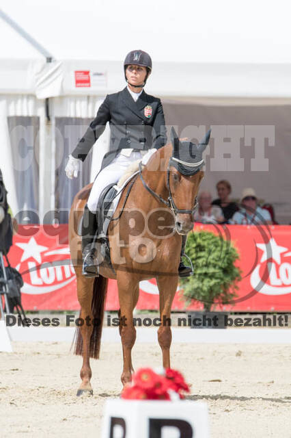 FEI European Championship Eventing 2017