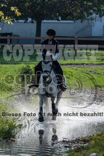 IGV Lehrgang der Sieger der Cups mit Frank Ostholt
