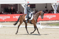 FEI European Championship Eventing 2017