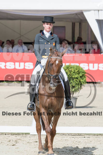 FEI European Championship Eventing 2017