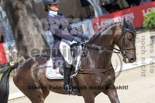 FEI European Championship