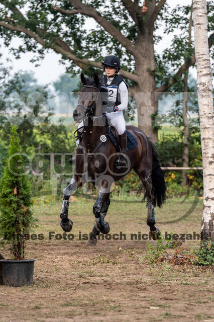 De Peelbergen (August 2020)