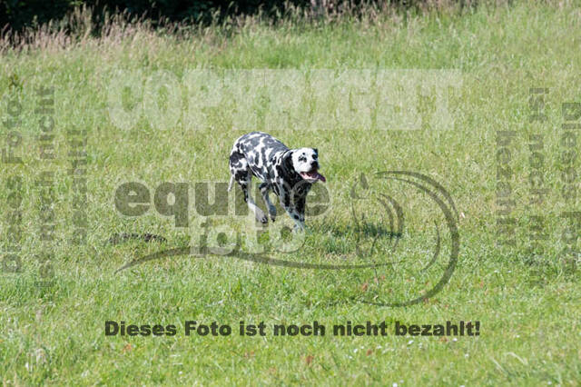 Tholi-Tour Lehrgang Vanessa Bölting