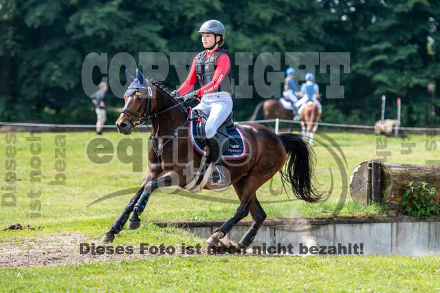 Goldene Schärpe 2021 - Ponys