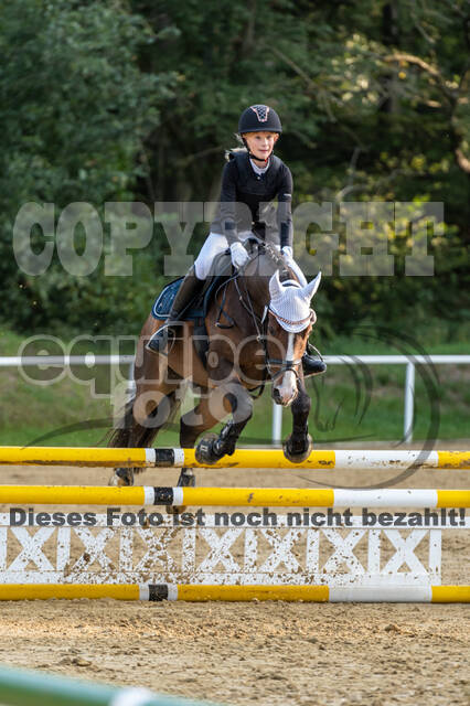 RFV Dinslaken-Hiesfeld (Herbstturnier)
