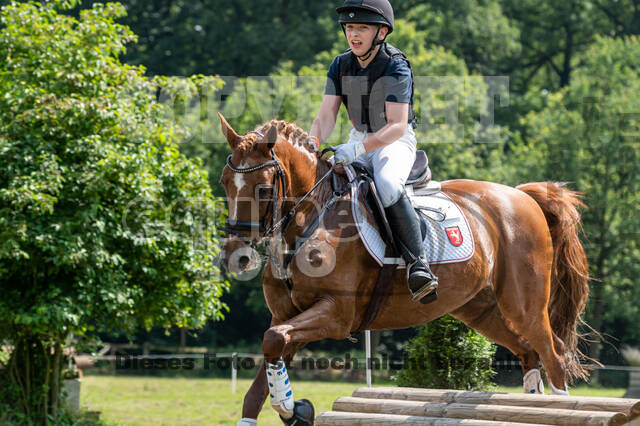 Goldene Schärpe 2021 - Ponys