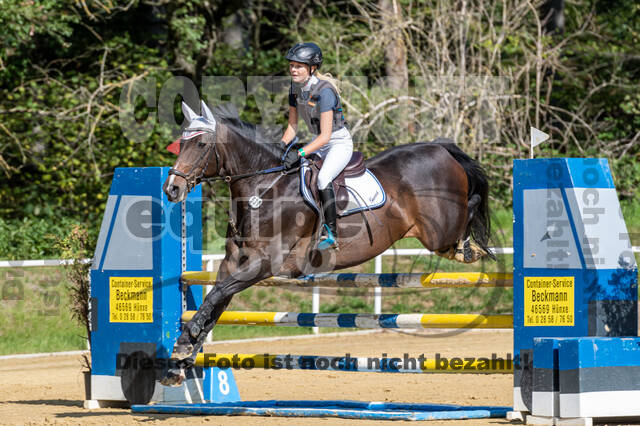 RFV Dinslaken-Hiesfeld (Herbstturnier)