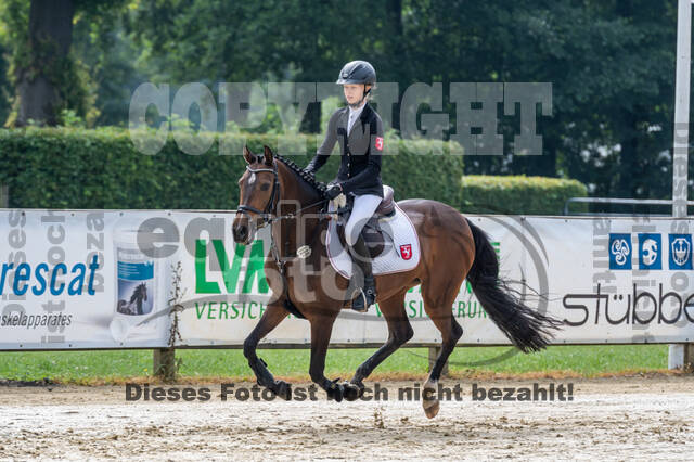 Goldene Schärpe 2021 - Ponys