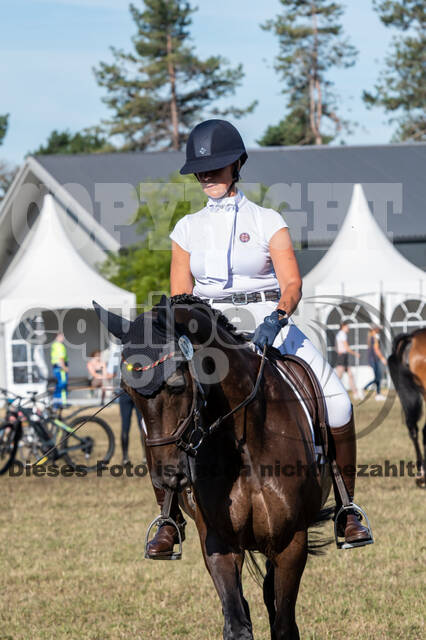 Kronenberg - De Peelbergen (August 2020)