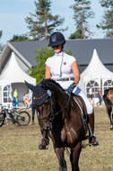 Kronenberg - De Peelbergen (August 2020)
