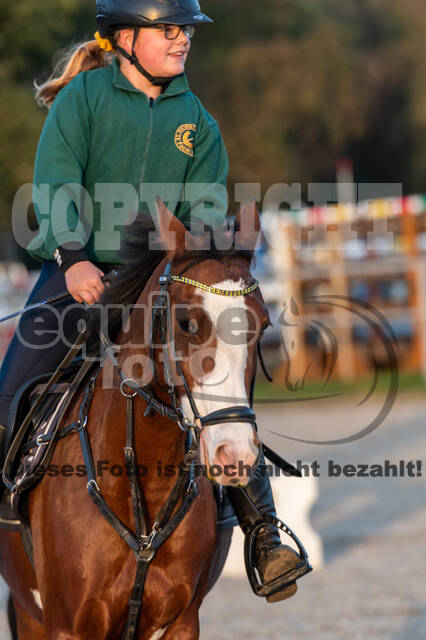IGV Lehrgang der Sieger der Cups mit Frank Ostholt