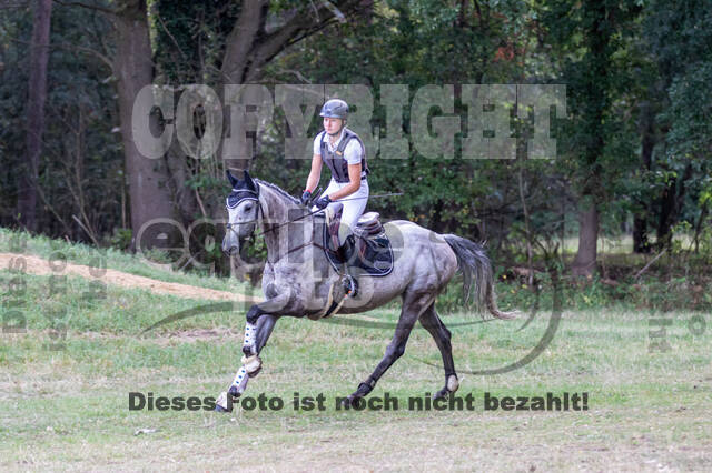 Late-Entry Vielseitigkeit Hamminkeln/Wesel (01.+02.08.2020)