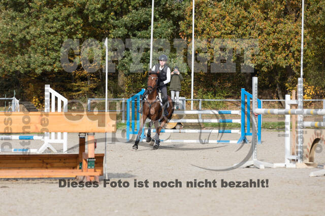 IGV Lehrgang der Sieger der Cups mit Frank Ostholt