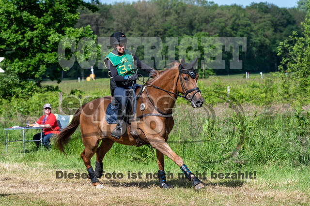 Westerstede Horse Trials (10.-13.06.2021)