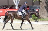 FEI European Championship