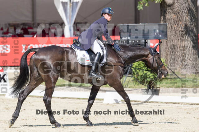 FEI European Championship