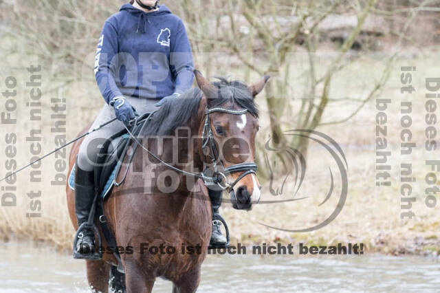Geländetrainings RSV St. Hubertus Wesel Obrighoven