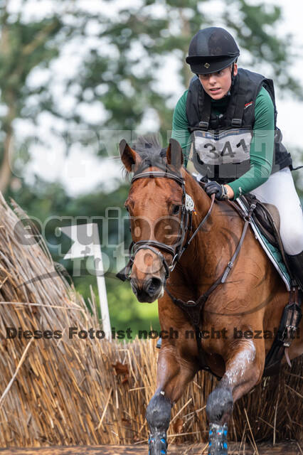 De Peelbergen (August 2020)