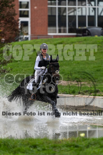 Goldene Schärpe 2020 - Pferde